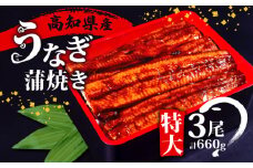 高知県産 うなぎ 蒲焼 220g×3尾 セット 養殖 鰻 うなぎ 蒲焼き かば焼き かばやき 惣菜 冷凍 真空パック 簡単調理 ME0062