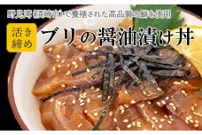 鰤 漬け丼 60g × 4パック | 海鮮 丼 醤油漬け 活き締め ブリ ぶり 惣菜 漬丼 お手軽 おかず 魚 刺身 小分け ギフト 人気 加工品 お茶漬け 冷凍 時短 国産 産地直送 みなみ丸 高知県 須崎市