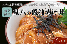 勘八 漬け丼 60g × 4パック | 海鮮 丼 醤油漬け 活き締め カンパチ かんぱち 惣菜 漬丼 お手軽 おかず 魚 刺身 小分け ギフト 人気 加工品 お茶漬け 冷凍 時短 国産 産地直送 みなみ丸 高知県 須崎市