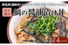 鯛 漬け丼 60g × 4パック | 海鮮 丼 醤油漬け 活き締め タイ マダイ 真鯛 惣菜 漬丼 お手軽 おかず 魚 刺身 小分け ギフト 人気 加工品 お茶漬け 冷凍 時短 国産 産地直送 みなみ丸 高知県 須崎市