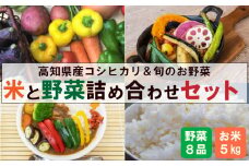 新米 野菜 セット 8月末から順次発送 コシヒカリ 5kg 野菜 7品以上 （ きゅうり なす パプリカ ピーマン れんこん ミックスリーフ たけのこ オクラ かぼちゃ ブロッコリー アスパラガス ニラ  にんじん 人参 トマト 玉ねぎ タマネギ 新鮮 野菜 ベジタブル 旬 米 お米 白米 精米 コシヒカリ 高知 高知県産 高知県 定期便 須崎市 須崎 ） NPO002_2x