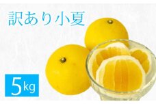 【限定50箱！】あわ地区 無農薬小夏 5kg AWA012