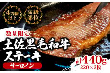 サーロインステーキ 440g ( 220g × 2枚 ) 土佐 黒毛 和牛 | 特撰 サーロイン肉 最上位等級 A4 A5 最高 ランク 贅沢 厚切り ステーキ用 焼肉用 キャンプ飯 国産 牛肉 高知県 須崎市 TM010
