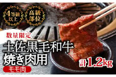 土佐 黒毛 和牛 焼肉用1.2kg （ 600g × 2パック ） | 特撰 モモ肉 最上位等級 A4 A5 最高ランク 1kg 以上 贅沢 焼き肉 やきにく 小分け 冷凍 国産 ブランド 和牛 牛肉 大人気 ギフト リピート リピーター おすすめ ランキング おいしい 限定 高評価 BBQ バーベキュー キャンプ アウトドア 高知県 須崎 TM012