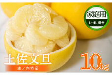 【早期予約開始!!2026年2月頃より順次発送】【訳あり】 浦ノ内特産 家庭用 土佐文旦 10kg | 果物 フルーツ 文旦 ぶんたん ブンタン みかん 蜜柑 柑橘 文旦 10キロ 人気 ランキング 数量限定 期間限定 早期予約産地直送 生産農家直送 明神果樹園 高知県 須崎市 MKJ003_xx