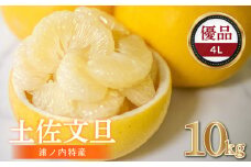 【早期予約開始!!2026年2月頃より順次発送】浦ノ内特産 土佐文旦 10kg 優品 4Lサイズ | みかん 蜜柑 柑橘 文旦 大玉 10キロ 明神果樹園 人気 ランキング 数量限定 期間限定 高知県 須崎市 MKJ002_xx