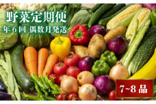 【2025年2月より順次発送】 定期便 6回 偶数月発送 野菜 7～8品目 南国土佐の新鮮お野菜 詰め合わせ お楽しみ セット 数量限定 詰め合わせ 季節 新鮮 産地直送 高知県 須崎市 頒布会 ほうれん草 ブロッコリー ニンジン 人参 じゃがいも 白菜 キャベツ 小松菜 ピーマン ししとう タマネギ オクラ なす ネギ さつまいも 里芋 にんにく きゅうり しょうが 生姜 NK3000-x2