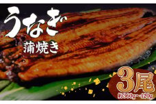 有頭 うなぎ 蒲焼 3尾 360g以上（ 120g～140g × 3尾 ） | 鰻 ウナギ 蒲焼 蒲焼き 大人気 タレ スタミナ 夏バテ 小分け 真空包装 冷凍 台湾産 養殖 高知県 須崎市 ME0121_x