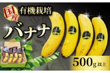 高級 バナナ 500g 以上 国産 有機栽培 高知初 糖度 25度以上 果物 フルーツ 高知県 須崎市