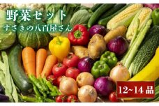 野菜 12～14品目 2人暮らし セット 詰め合わせ 季節 旬 新鮮 定番 やさい おまかせ 採れたて 産地直送 高知県 須崎市  NK002