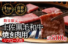 土佐 黒毛 和牛 焼肉用 500g | 特撰 リブロース ロース 最上位等級 A4 A5 最高ランク 贅沢 焼き肉 やきにく 小分け 冷凍 国産 ブランド 和牛 牛肉 大人気 ギフト リピート リピーター おすすめ ランキング おいしい 限定 高評価 BBQ バーベキュー キャンプ アウトドア 高知県 須崎 TM009