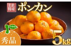 【早期予約受付開始】2026年1月下旬より順次発送 あわ地区 ポンカン 秀品 5kg 2026年 収穫分 みかん 高知 須崎 AWA006