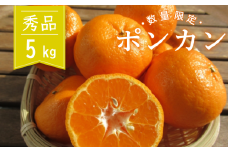 【2025年1月より順次発送】 浦ノ内 ポンカン5㎏ 秀品 KG003
