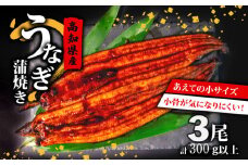 肉厚 うなぎ の 蒲焼き 100g ～ 120g × 3尾 計 300g 以上 自家製 タレ 3個 セット 頭付き 鰻 手焼き 蒲焼 タレ付き ふっくら 香ばしい うなぎ蒲焼き 鰻蒲焼 高知県産 国産 養殖鰻 養殖うなぎ 冷凍 惣菜 真空パック 温めるだけ 簡単調理 高知県 須崎市 ME0261_x
