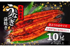 高知県産 養殖 うなぎ 蒲焼 100g～120g×10尾 セット タレ付き 贈答 養殖 肉厚 鰻 土用丑の日 敬老の日 高知県 須崎市