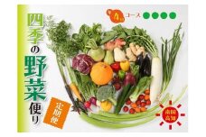 定期便 4回 野菜 おまかせ セット 10 〜 14種 春夏秋冬 なばな 新玉ねぎ そら豆 スナップえんどう 春キャベツ フルーツトマト じゃが芋 みょうが ズッキーニ オクラ かぼちゃ すじなし豆 トマト 空心菜 花ニラ さつま芋 栗 秋豆 しょうが 金時しょうが キク芋 赤大根 白大根 かぶ カリフラワー 白菜 ブロッコリー 葉ニンニク ゆず 須崎 高知 頒布会 HNT2000