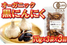 定期便 3回 3ヶ月 黒 ニンニク 産地直送 有機野菜 健康食品 小分け パック セット 高知県 須崎市