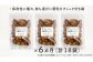 ７０g×３袋が毎月、６カ月に渡り計６回届きます（合計１８袋１２６０ｇ）保管や持ち運びに便利なチャックタイプの袋を採用しています。