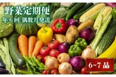 【2025年2月より順次発送】 定期便 6回 偶数月発送 旬 野菜 詰め合わせ セット 6 ～ 7品 数量限定  限定80セット やさい 頒布会 ほうれん草 ブロッコリー ニンジン 人参 じゃがいも 白菜 キャベツ 小松菜 ピーマン ししとう タマネギ オクラ なす ネギ さつまいも 里芋 にんにく きゅうり しょうが 生姜 NK4000-x2