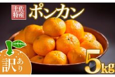 【早期予約開始】2026年1月下旬より順次発送 訳あり ぽんかん 5kg サイズ混合 過程用 柑橘 みかん 蜜柑 家庭用 高知県 須崎市