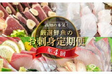 刺身 定期便 4ヶ月 小島水産 がお届けする！ 美味しい お刺身 （ 鮮魚 下処理済 ） 産地直送 4回（ カンパチ カツオ 鯛 ブリ ） 海鮮 魚 新鮮 定期 刺身 魚介 かんぱち 勘八 鰹 かつお カツオのタタキ 鰹のたたき マダイ 真鯛 タイ 鰤 高知県 須崎市 頒布会 KS7000-2x