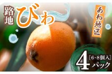 【 早期予約受付 5月中旬頃より順次発送 】びわ 枇杷 フルーツ 6 ~8個 4 パック  果物 南国 フルーツ ビワ 高知 高知県 須崎市 安和 