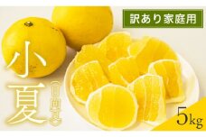 【訳あり】家庭用 小夏 （ 日向夏 ）5kg  無農薬 旬 高知県 須崎産  柑橘 初夏 フルーツ 果物 こなつ コナツ ひゅうが夏 みかん MH010