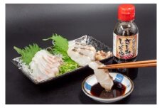 鯛 タイ 刺身 まるごと 1匹分 約600g～800g 鮮魚 炙り 柵  魚 産地直送 高知県 須崎市