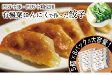 有機 葉 ニンニク と 四万十 豚 で作った 最高級 餃子 （ 8パック 8人前 ）ぎょうざ ギョウザ にんにく 高知 野菜 EA0261