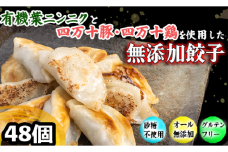 有機 葉 ニンニク と 四万十 豚 で作った 最高級 餃子 （ 6個入り x 8パック ）ぎょうざ ギョウザ にんにく 高知 野菜