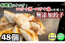 有機 葉 ニンニク と 四万十 豚 で作った 最高級 餃子 （ 6個入り x 8パック ）ぎょうざ ギョウザ にんにく 高知 野菜