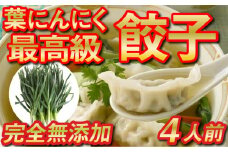 有機 葉 ニンニク と 四万十 豚 で作った 最高級 餃子 （ 4パック 4人前 ）ぎょうざ ギョウザ にんにく 高知 野菜 EA0272