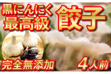 有機 黒 ニンニク と 四万十 豚 で作った 最高級 餃子 （ 4パック 4人前 ）ぎょうざ ギョウザ にんにく 高知 野菜 EA0311