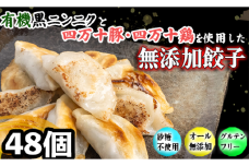 有機 黒 ニンニク と 四万十 豚 で作った 最高級 餃子 （ 6個入り x 8パック ）ぎょうざ ギョウザ にんにく 高知 野菜