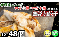 有機 黒 ニンニク と 四万十 豚 で作った 最高級 餃子 （ 6個入り x 8パック ）ぎょうざ ギョウザ にんにく 高知 野菜