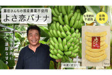 無農薬 冷凍 バナナ パック 800g 国産 藤田さんちの無農薬バナナ 化学肥料不使用 高知県 須崎市