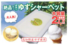 昔ながらの 柚子 アイスクリーム 業務用 2L 高知県産 ゆず アイスクリン ふるさとの味 ご当地アイス あっさり 爽やか アイス 昔ながらの スイーツ 高知県 須崎市 EA043