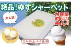 昔ながらの 柚子 アイスクリーム 業務用 2L 高知アイス ゆず アイスクリン ふるさとの味 ご当地アイス あっさり 爽やか アイス 昔ながらの デザート スイーツ 高知県 須崎市 ICE036