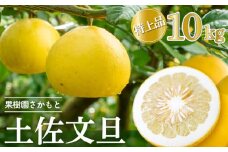 【2026年2月中旬より発送】 高知県産 土佐文旦 特上品 10kg 贈答用 時期 土佐 文旦 ぶんたん ブンタン 人気 旬 柑橘 フルーツ 果物 高知 須崎 KJS009