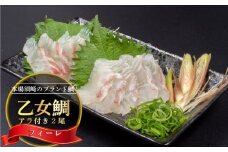 本場須崎のブランド鯛 ｢ 乙女鯛フィーレ ｣ アラ付き 2尾 セット 約2kg 冷蔵 刺身 お刺し身 タイ 鯛 高級魚 鮮魚 海鮮 魚介 煮付け アラ汁 高知県 須崎市 魚 マダイ 真鯛