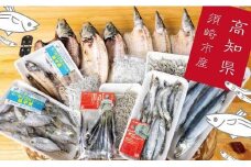 干物 旬の おまかせ 詰め合わせ セット 須崎 高知 冷凍 ひもの  【 産地 直送 】 おまかせ 各種 沖うるめ ニロギ イワシ丸干し カマス丸干し ヤケド ハダカイワシ ヒメイチ きびなご メヒカリ カマス開き アジ開き じゃこ イワシの煮干 ギフト 贈り物 MMY014