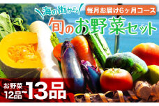 定期便 6回 6ヶ月 半年 野菜 12~13品前後 詰め合わせ 産地直送 セット あわ地区 旬の野菜 やさい ベジタブル キット 季節野菜 高知 須崎 国産 人気 半年間 毎月 お届け 頒布会 AWA8000_x