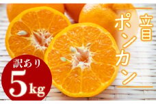 【2025年1月より発送】訳あり ぽんかん 5kg 特上品 贈答用 大小混合品 高知県産 立目ぽんかん 果物 フルーツ ボンカン 果樹園 さかもと  柑橘 みかん ミカン 有機肥料 主体 低農薬 KJS010-xx