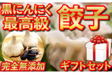 四万十豚で作った 最高級 餃子 有機 黒ニンニク 入り 冷凍 小分け グルテンフリー  無添加 完全無添加 オーガニック 米粉 化粧箱入り ぎょうざ 冷凍ぎょうざ 簡単調理 ギフト セット 高知県 須崎市 EA0831