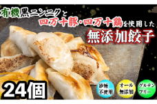 有機 黒ニンニク と 四万十 豚 で作った 最高級 餃子 24個入り(6個入りx 4パック) 無添加 完全無添加 オーガニック 米粉 化粧箱入り ぎょうざ 冷凍ぎょうざ 簡単調理 ギフト セット 高知県 須崎市