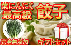 化粧箱入り 有機 葉ニンニク と 四万十豚で作った 最高級 餃子 ギフト セット 高知県 須崎市 EA0821