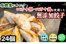 有機 葉 ニンニク と 四万十豚 で作った 最高級 餃子 （ 6個入り x 4パック ）ぎょうざ ギョウザ にんにく 高知 野菜