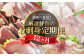 新鮮なお刺身用のお魚を1年間にわたってお届けします！