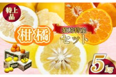 定期便 3回 限定50セット 須崎特産柑橘 特上品 各 5kg 箱セット ポンカン 土佐文旦 小夏 ポンカン 土佐 文旦 ぶんたん ブンタン 小夏 こなつ 時期 人気 旬 柑橘 フルーツ 果物 高知 須崎 KJS4000