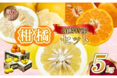 定期便 3回 限定50セット 須崎特産柑橘 贈答用 計 15kg 箱セット 各 5kg ポンカン 土佐文旦 小夏 ぽんかん 土佐 文旦 ぶんたん ブンタン 小夏 こなつ 時期人気 旬 柑橘 フルーツ 果物 高知 須崎 KJS5000